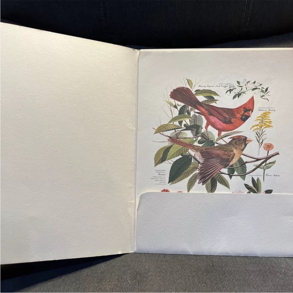 Vintage Arthur Singer Bird Prints Set Of 8 - Picture 2 of 13